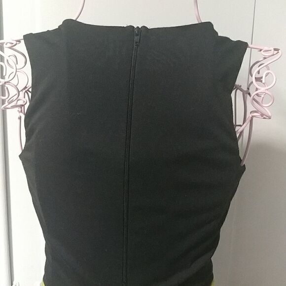 Tiana and Prince Naveen Dress - Picture 5 of 7